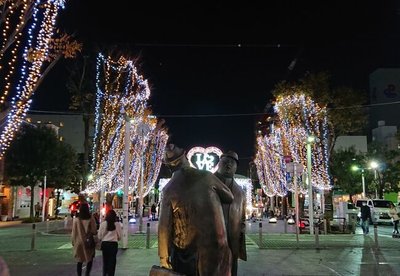 🌳 아오바 심볼 로드(아오바 신보루 로도)